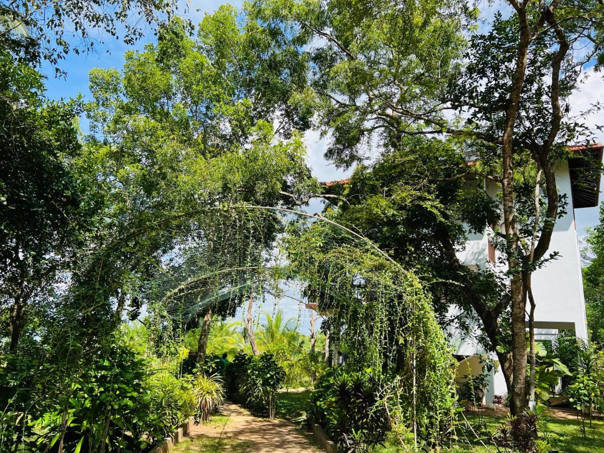 Ashansa Lagoon Resort Tangalle Exterior photo